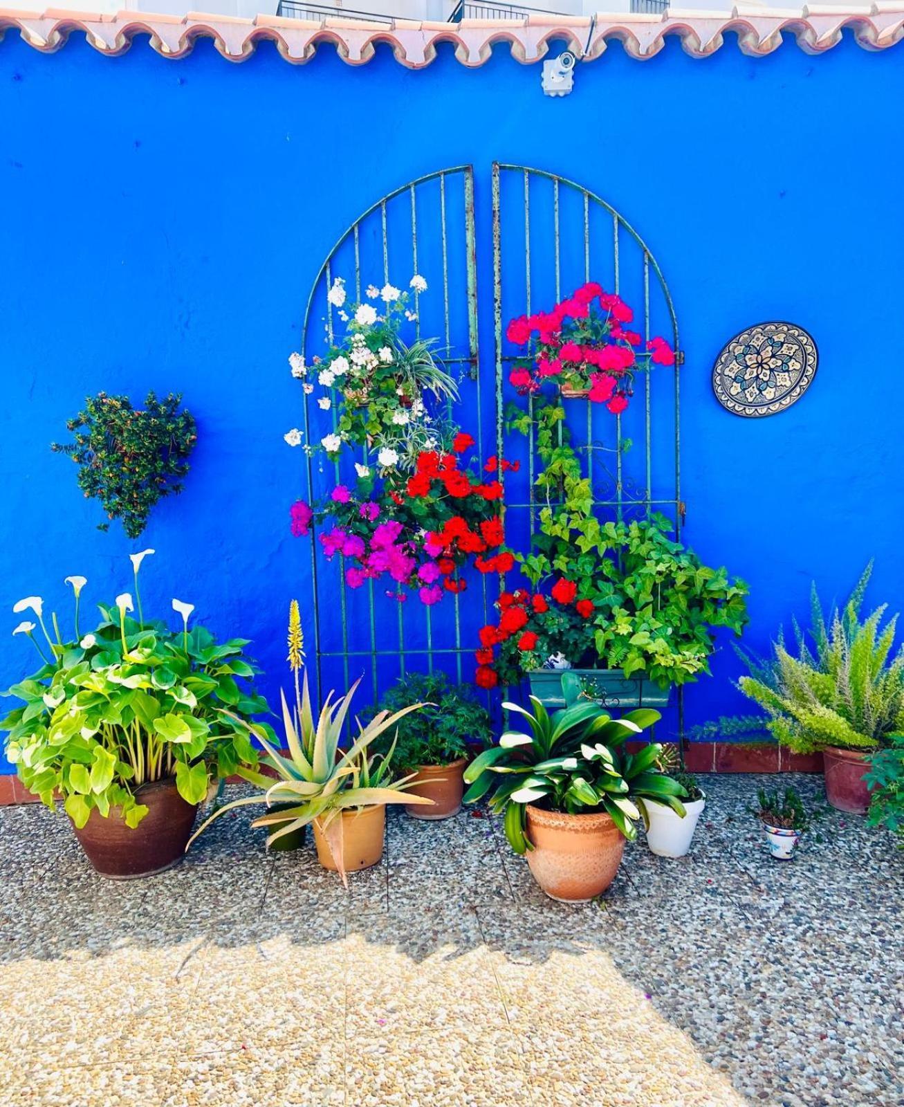 Hostal El Faro Chipiona Ngoại thất bức ảnh