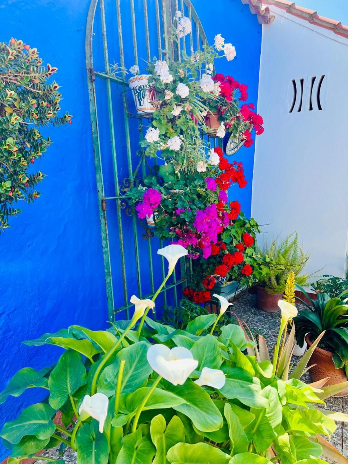 Hostal El Faro Chipiona Ngoại thất bức ảnh