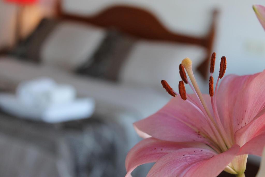 Hostal El Faro Chipiona Ngoại thất bức ảnh